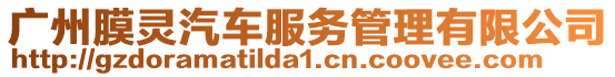 廣州膜靈汽車服務管理有限公司
