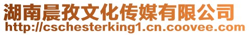 湖南晨孜文化傳媒有限公司