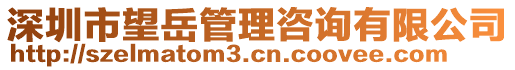 深圳市望岳管理咨詢有限公司