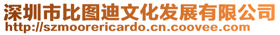 深圳市比圖迪文化發展有限公司