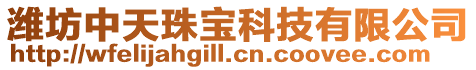 濰坊中天珠寶科技有限公司