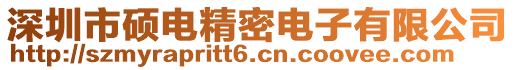 深圳市硕电精密电子有限公司