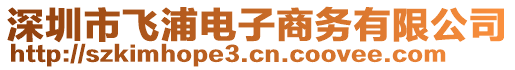 深圳市飞浦电子商务有限公司