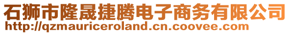 石獅市隆晟捷騰電子商務(wù)有限公司