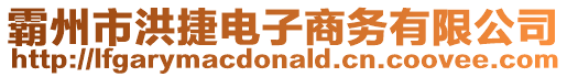 霸州市洪捷電子商務有限公司