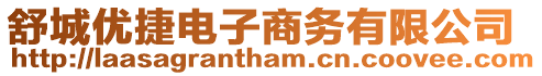 舒城優捷電子商務有限公司