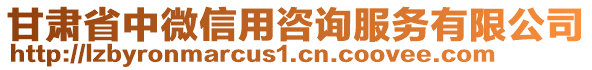 甘肅省中微信用咨詢服務有限公司