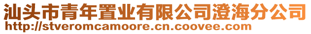 汕頭市青年置業(yè)有限公司澄海分公司