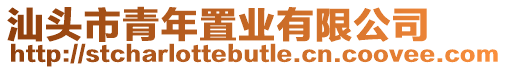 汕頭市青年置業有限公司