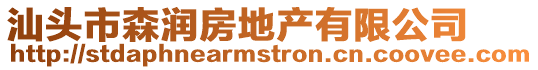 汕頭市森潤房地產有限公司