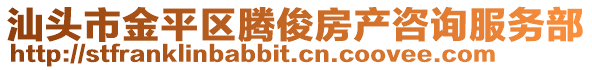 汕頭市金平區(qū)騰俊房產(chǎn)咨詢服務(wù)部