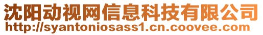 沈陽(yáng)動(dòng)視網(wǎng)信息科技有限公司
