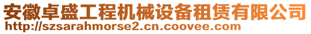 安徽卓盛工程機械設備租賃有限公司