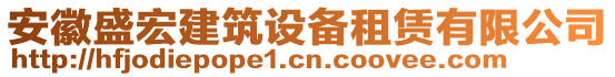 安徽盛宏建筑設(shè)備租賃有限公司