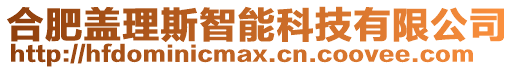 合肥蓋理斯智能科技有限公司