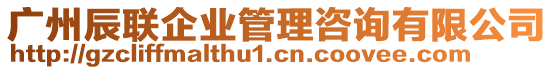 廣州辰聯(lián)企業(yè)管理咨詢有限公司