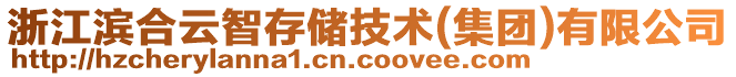 浙江濱合云智存儲技術(shù)(集團)有限公司