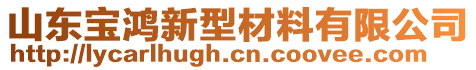 山東寶鴻新型材料有限公司