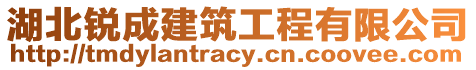 湖北銳成建筑工程有限公司