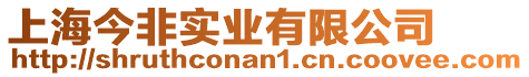 上海今非實業有限公司