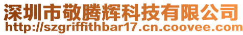 深圳市敬騰輝科技有限公司