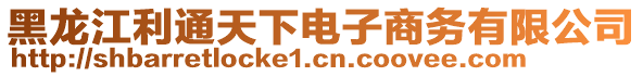 黑龍江利通天下電子商務(wù)有限公司