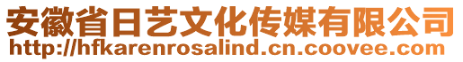 安徽省日艺文化传媒有限公司