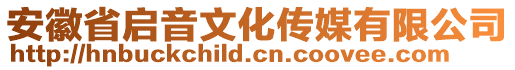 安徽省启音文化传媒有限公司