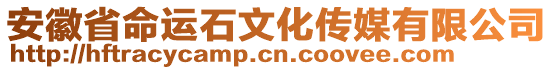 安徽省命運(yùn)石文化傳媒有限公司