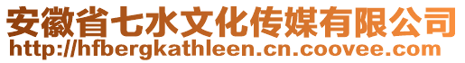 安徽省七水文化传媒有限公司