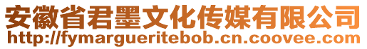 安徽省君墨文化传媒有限公司