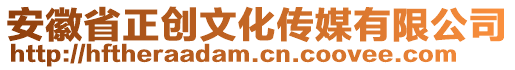 安徽省正创文化传媒有限公司