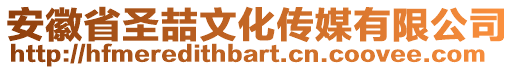 安徽省圣喆文化傳媒有限公司