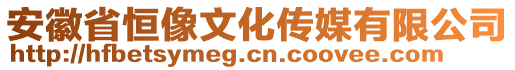 安徽省恒像文化传媒有限公司