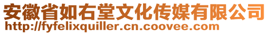 安徽省如右堂文化传媒有限公司