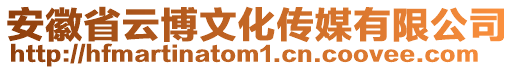 安徽省云博文化傳媒有限公司