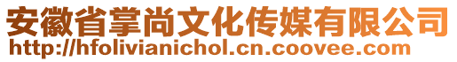 安徽省掌尚文化傳媒有限公司