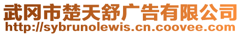 武岡市楚天舒廣告有限公司