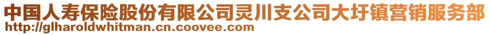 中國人壽保險股份有限公司靈川支公司大圩鎮(zhèn)營銷服務部