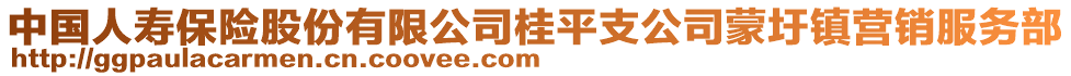 中國人壽保險股份有限公司桂平支公司蒙圩鎮(zhèn)營銷服務(wù)部