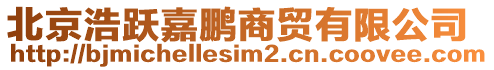 北京浩躍嘉鵬商貿有限公司