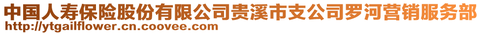 中國人壽保險股份有限公司貴溪市支公司羅河營銷服務部