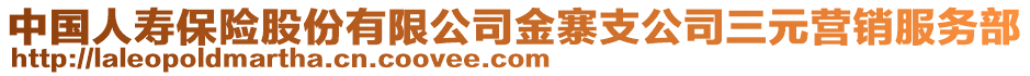 中國人壽保險股份有限公司金寨支公司三元營銷服務部