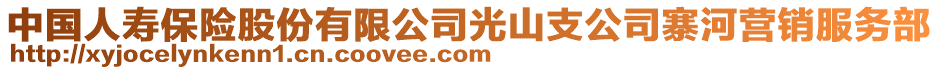 中國人壽保險股份有限公司光山支公司寨河營銷服務部