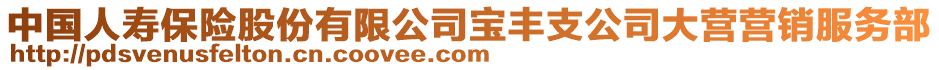 中國人壽保險股份有限公司寶豐支公司大營營銷服務(wù)部