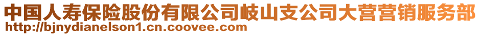 中國人壽保險股份有限公司岐山支公司大營營銷服務部