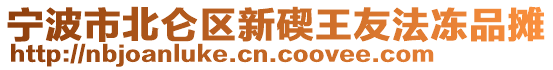 寧波市北侖區(qū)新碶王友法凍品攤