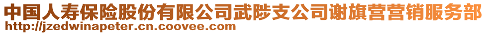 中國人壽保險股份有限公司武陟支公司謝旗營營銷服務(wù)部