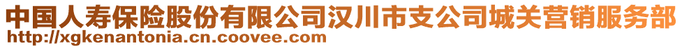 中國人壽保險股份有限公司漢川市支公司城關(guān)營銷服務(wù)部