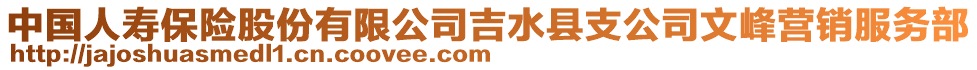 中國人壽保險股份有限公司吉水縣支公司文峰營銷服務部